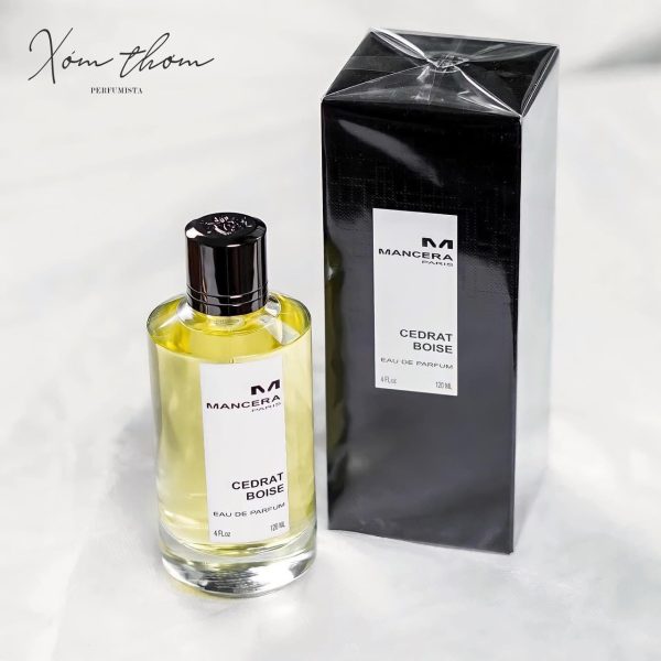 nước hoa nam tông citrus