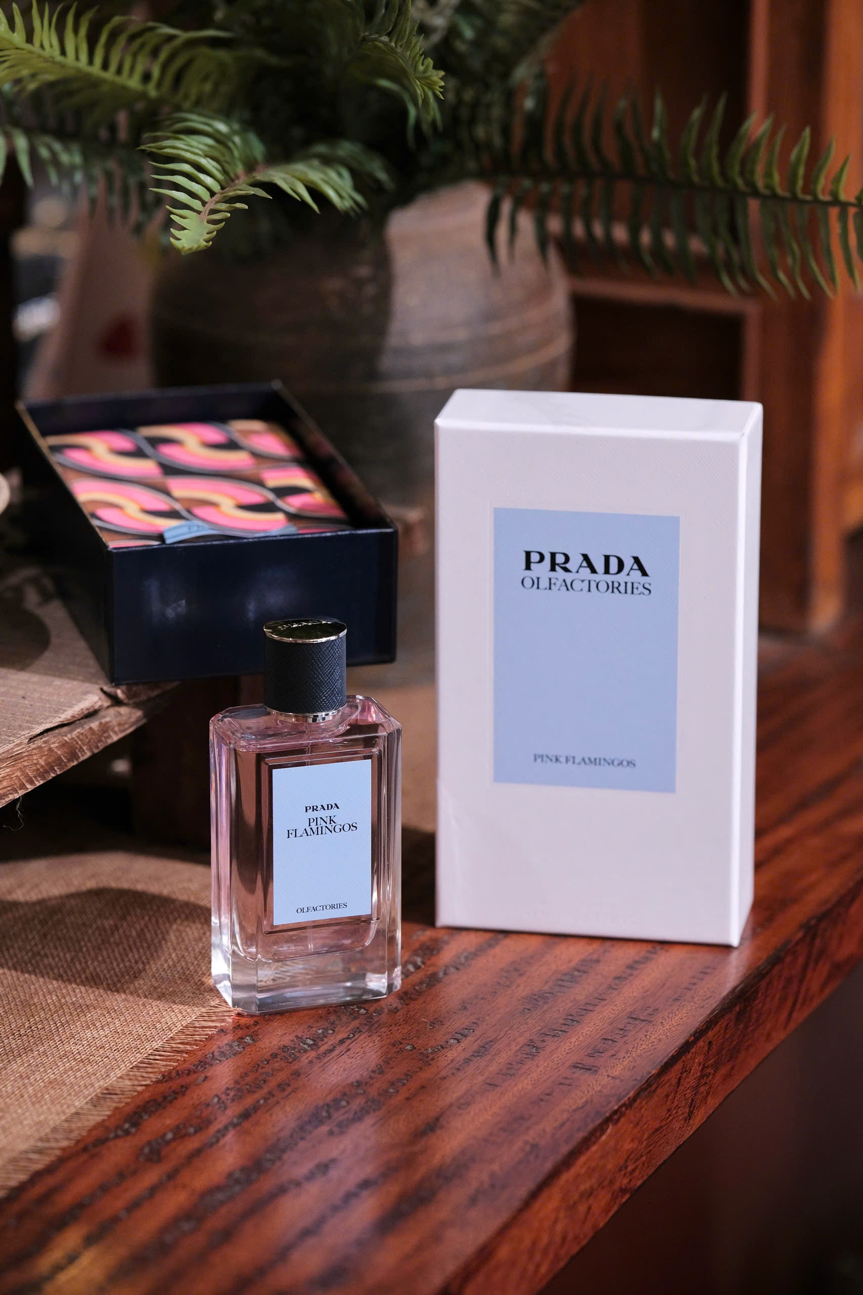 gen-o-prada_Pink