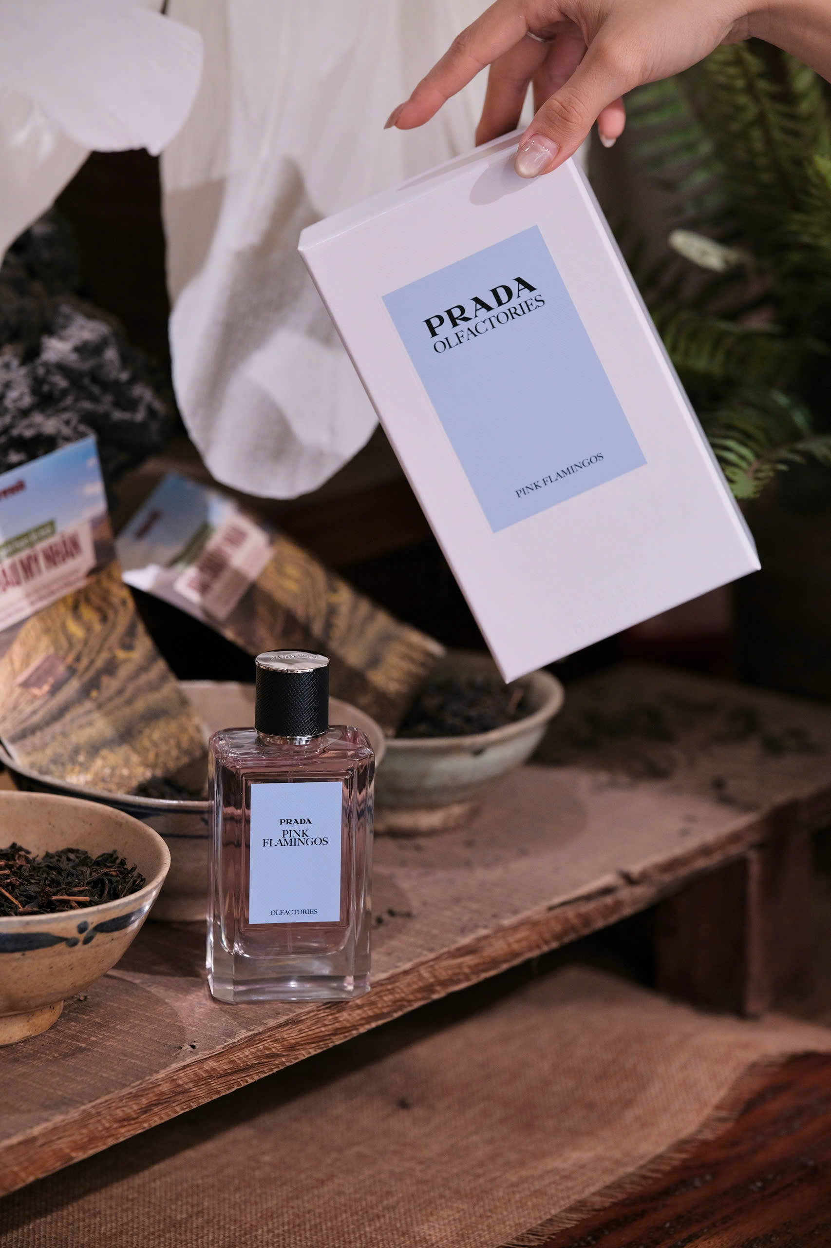 gen-o-prada_Pink_3